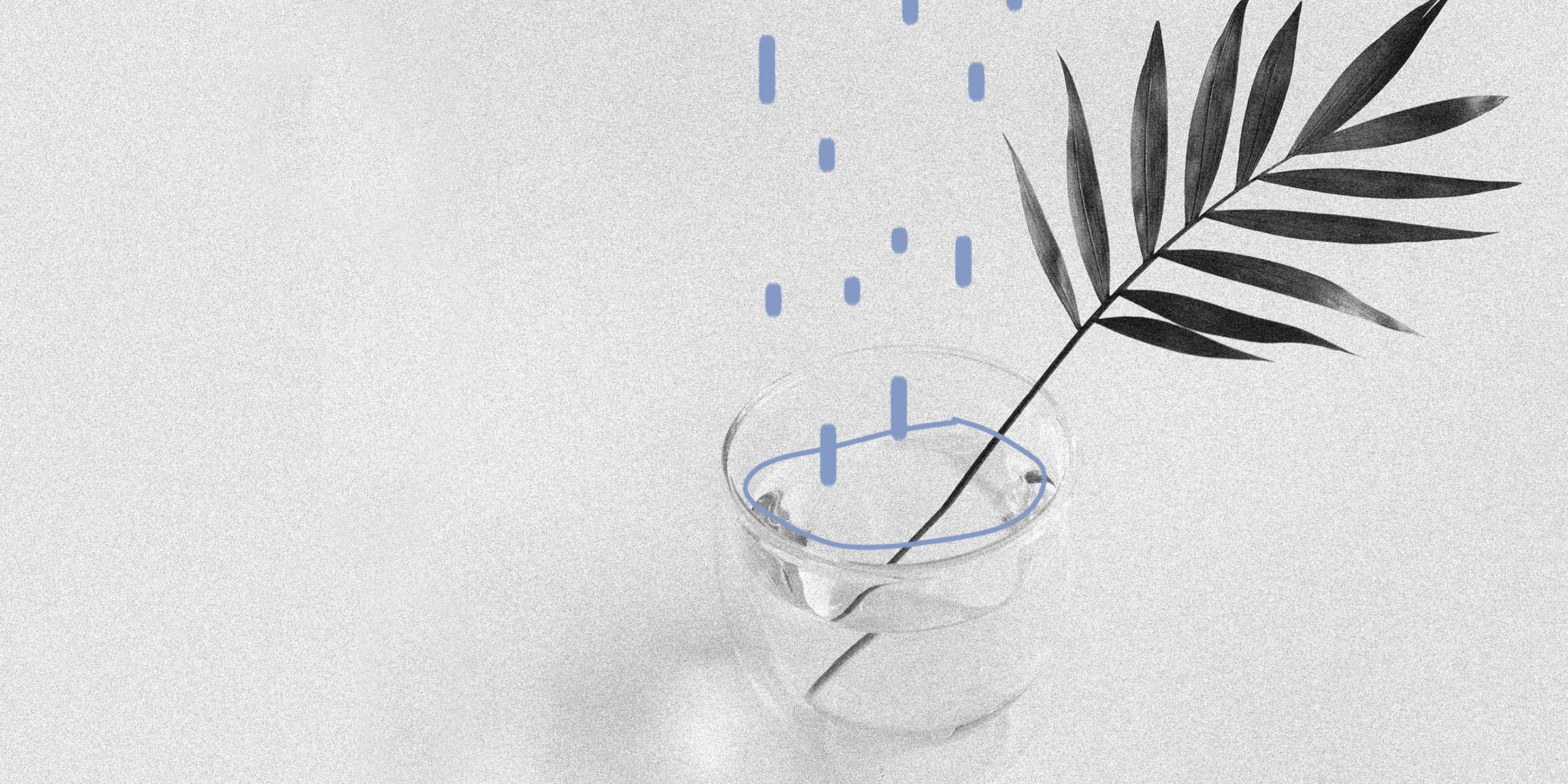 Why I Turned Down a $1.5M VC Offer – and Why I Took $20M in Growth Funding
