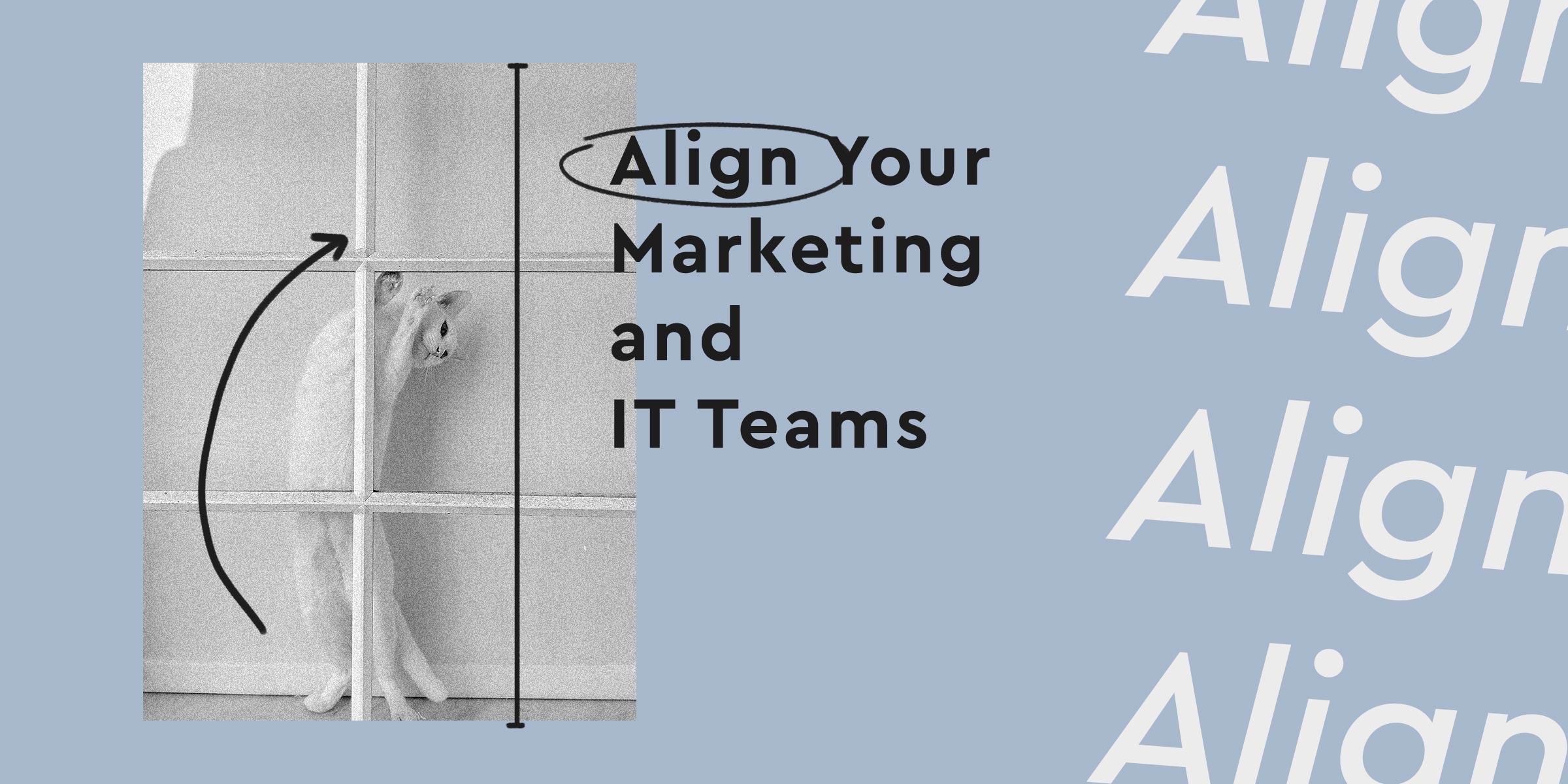 7 Tips to Better Align Your Marketing and IT Teams when Evaluating New Technologies