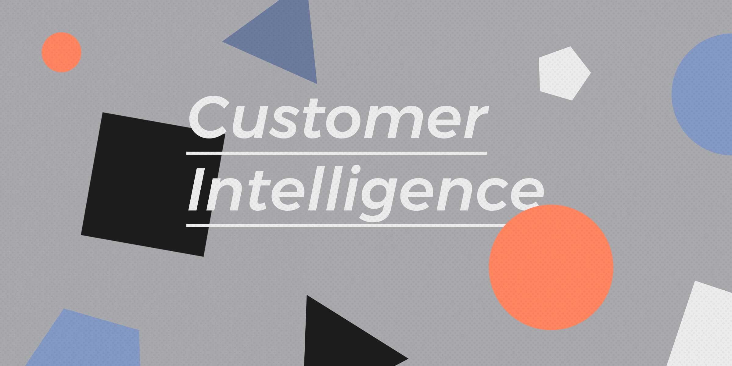 Smart CRM Basics: Why Customer Intelligence?